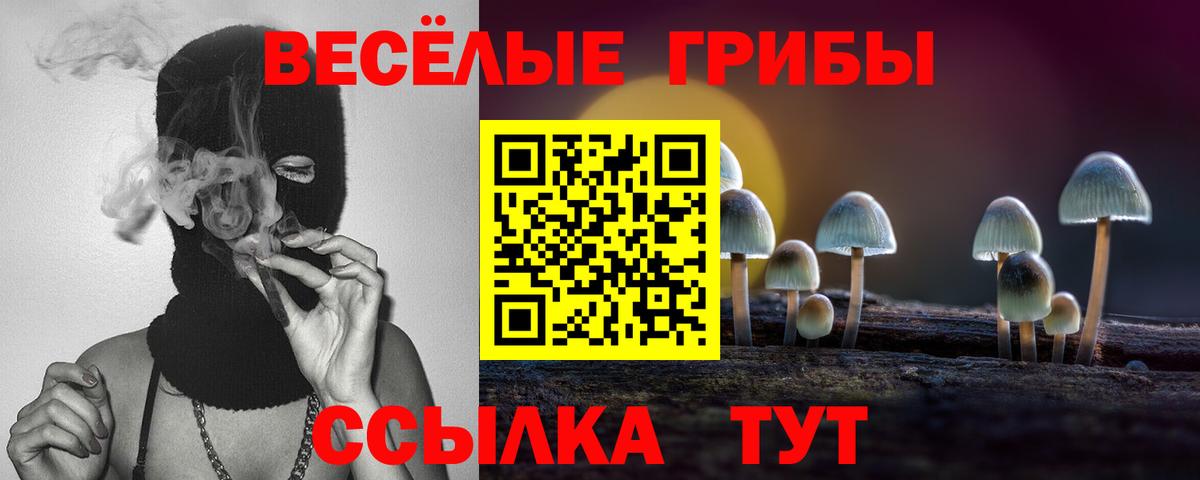 Псилоцибиновые грибы мицелий  Псилоцибиновые грибы мицелий  Губаха  Вход с VPN 