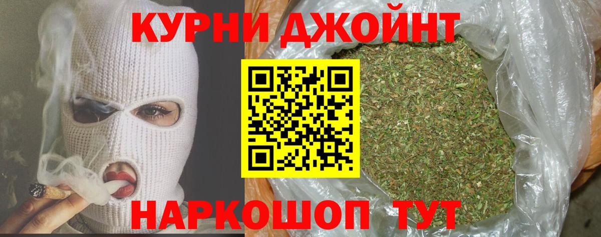 Конопля индика Губаха